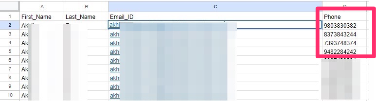 Excel with Custom Fields